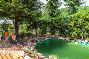 una piscina en un patio con árboles y plantas en Villa Amber, en Bad Kissingen