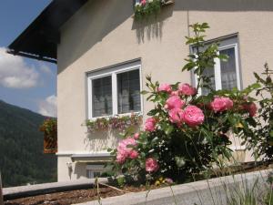 Zahrada ubytování Ferienwohnung Brennseeblick