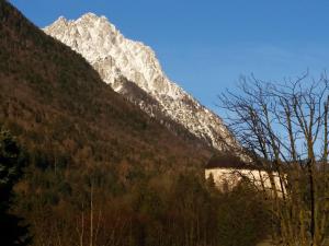 a snow covered mountain with trees in front of it w obiekcie Landhaus Graßmann w mieście Piding