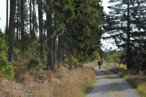 Příroda nedaleko penzionu – hostince