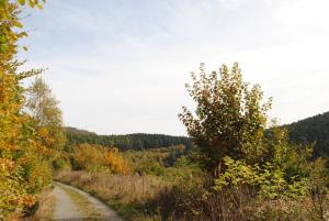 Příroda nedaleko penzionu – hostince