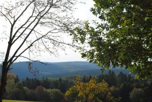 Příroda nedaleko penzionu – hostince