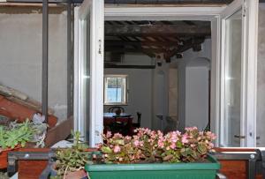 Fotografie z fotogalerie ubytování Swan Adriatic Apartment & Room v Šibeniku