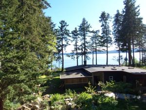 a house in the woods with trees at Malaspina Strait Cottage in Powell River
