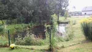 Příroda nedaleko prázdninového domu