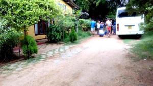 Huéspedes de Amila Guest