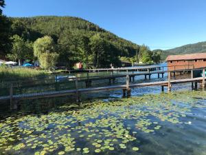 Loodusmaastik apartemendi lähedal
