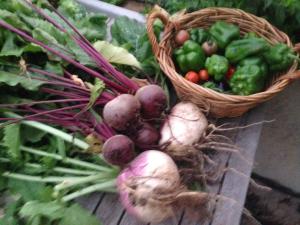 a bunch of vegetables in baskets on a table at Coonawarra Bush Holiday Park in Coonawarra