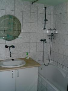 ein Badezimmer mit einer Dusche, einem Waschbecken und einer Badewanne in der Unterkunft Za kapličků in Hovorany