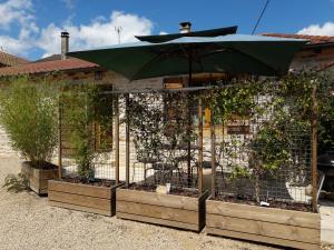 un jardin avec un parasol et quelques plantes dans l'établissement le gîte de viré, à Viré