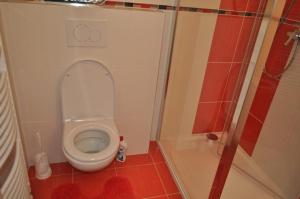 a small bathroom with a toilet in a stall at Moderni Domek Lipno in Lipno nad Vltavou