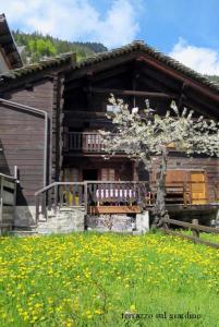 una casa di legno con una panchina in un campo di fiori di Chalet Martina a Macugnaga