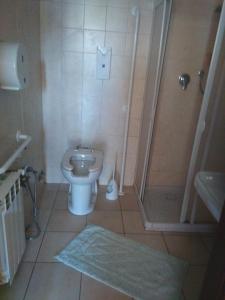 a small bathroom with a toilet and a shower at Regina di cuori in LʼAquila