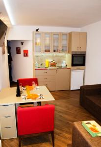 Η κουζίνα ή μικρή κουζίνα στο Nikola's Apartment