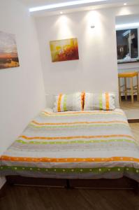 uma cama num quarto com duas pinturas na parede em Nikola's Apartment em Belgrado