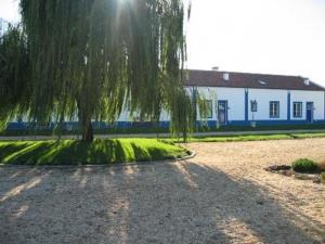 a tree in the middle of a gravel yard with a house at Monte das Faias Cork Farm Hotel in Grândola