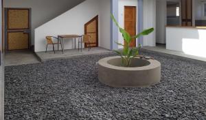 Fotografie z fotogalerie ubytování Casa Patio v destinaci Tarrafal