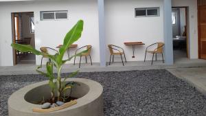 Fotografie z fotogalerie ubytování Casa Patio v destinaci Tarrafal