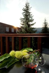 un bol de cristal con plantas sobre una mesa en un balcón en Fretzato en Elati Trikalon