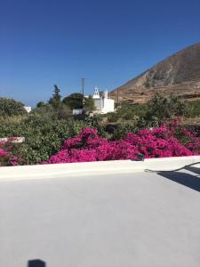 a bunch of pink flowers in front of a building at Cosy studio in Santorini in Éxo Goniá