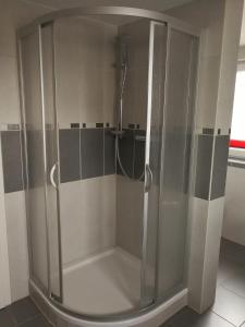 エアフルトにあるFewo EF-Stotternheimのバスルーム(ガラスドア付きのシャワー付)