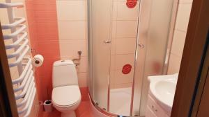 a small bathroom with a toilet and a shower at Agroturystyka Jędruś - Nocując u nas otrzymasz 20 procent zniżki na termy Gorący Potok i Szaflary in Szaflary