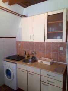 a kitchen with a sink and a washing machine at Viola i Detelina Apartments in Perućac