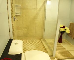 a bathroom with a toilet and a shower at JBay Surf View @ Point in Jeffreys Bay