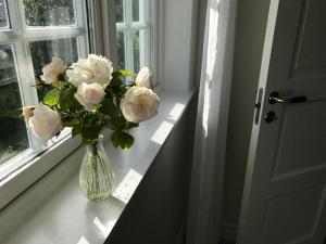 Foto dalla galleria di Arctic Garden a Lødingen