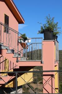 Ein Hund steht auf dem Balkon eines rosa Gebäudes in der Unterkunft B&B Tatti in Nughedu Santa Vittoria
