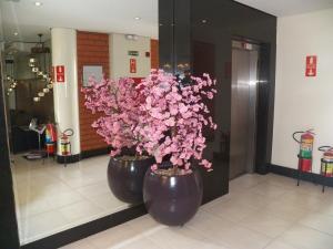 伦索伊斯-保利斯塔Passer Hotel的相册照片