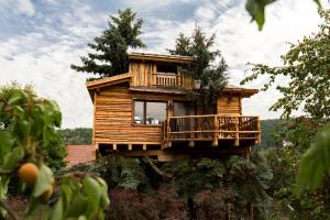 a tree house on a rock in the woods at Baumhaus in Imbach