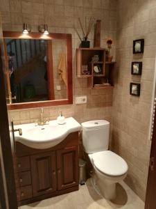uma casa de banho com um WC, um lavatório e um espelho. em Lujoso duplex en Port del Comte em La Coma i la Pedra