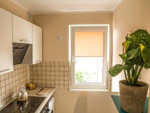 Kuchyňa alebo kuchynka v ubytovaní Apartament Plaza48