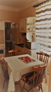 a kitchen with a table with chairs and a refrigerator at Kökörcsin Vendégház in Tornaszentandrás