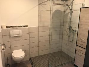 a bathroom with a toilet and a glass shower at Ferienwohnung Göbel in Kelberg