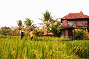 A garden outside Java Village Resort by HOMEE Yogyakarta