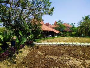 A garden outside Java Village Resort by HOMEE Yogyakarta
