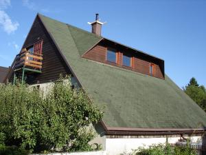 a house with a green roof at apartman liker in Ravna Gora