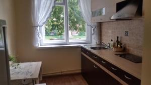a kitchen with a sink and a window at Apartment on Brivzemnieka in Liepāja