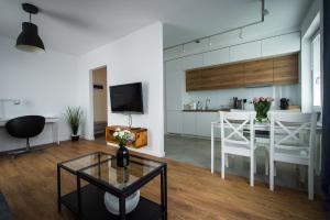 Televízia a/alebo spoločenská miestnosť v ubytovaní Apartament w Piszu