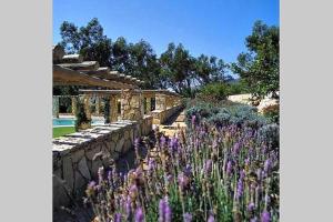 アルカビデシェにあるVilla Malveiraの紫色の花と石壁の庭園