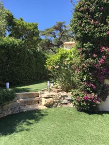 um jardim com uma parede de pedra e um arbusto com flores em Sainte Maxime Studio 2 em Sainte-Maxime