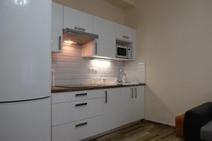 Kuchyňa alebo kuchynka v ubytovaní Diana Apartments Karlovy Vary