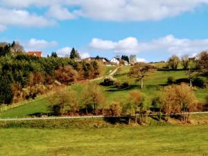 ein grünes Feld mit Bäumen und eine Straße auf einem Hügel in der Unterkunft Ferienwohnungen Willrich in Blankenheim