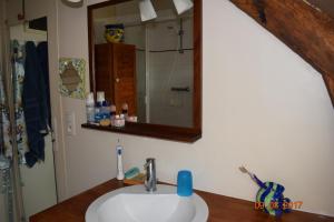a bathroom with a sink and a mirror at Au calme in Houssay