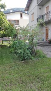 Zahrada ubytování feltrino + 6 fotografií