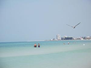 Foto da galeria de 1+1 Large condo Sarasota em Sarasota