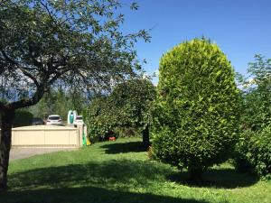 un arbusto en un patio con un árbol en villa maxilly, en Maxilly-sur-Léman