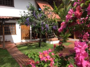 a garden filled with lots of plants and flowers at Hotel Cabinas Tropical in Puerto Viejo